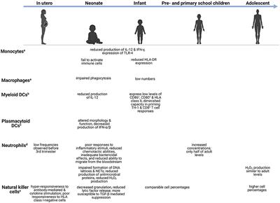 Infection in the Developing Brain: The Role of Unique Systemic Immune Vulnerabilities